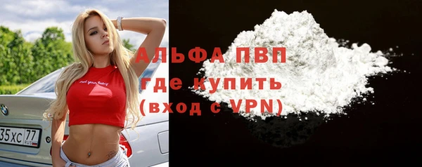 СК Покачи