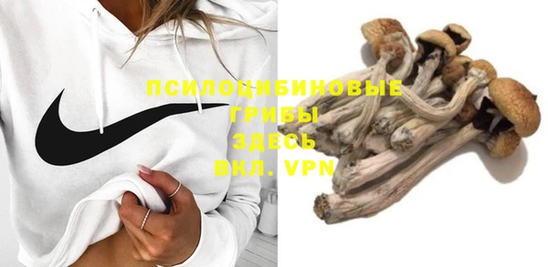 трава Алексин