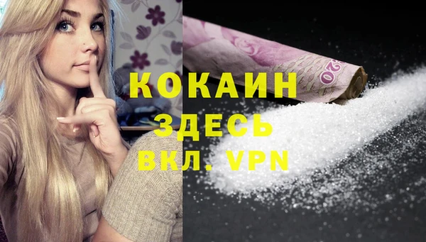 сатива Абаза